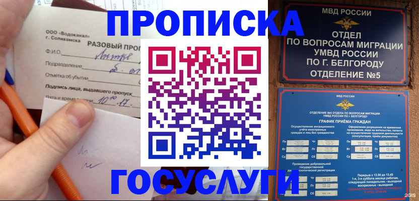 прописка паспорт в Чехове